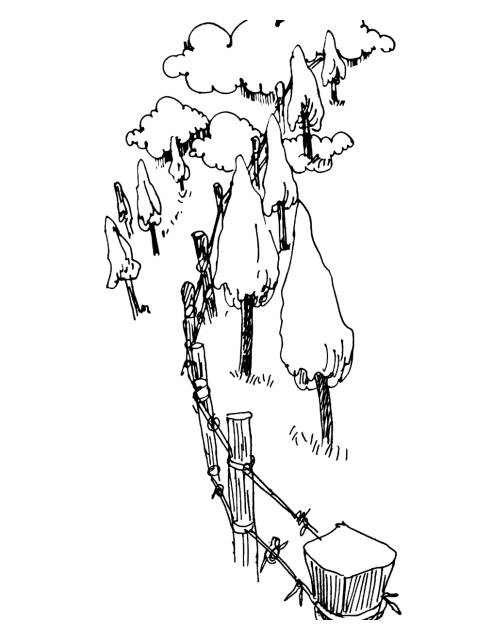 Illustration by Karunakaram Perambra for the poem 'Line of Control' by Malayalam poet Priyavrathan