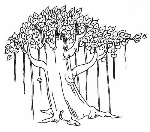 Illustration by Karunakaram Perambra for the poem Maramaram written by Priyavrathan