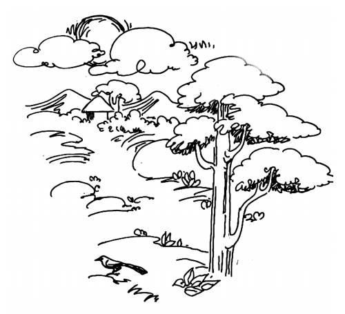 Illustration by Karunakaram Perambra for the poem Orikkal Oridathu by Malayalam poet Priyavrathan