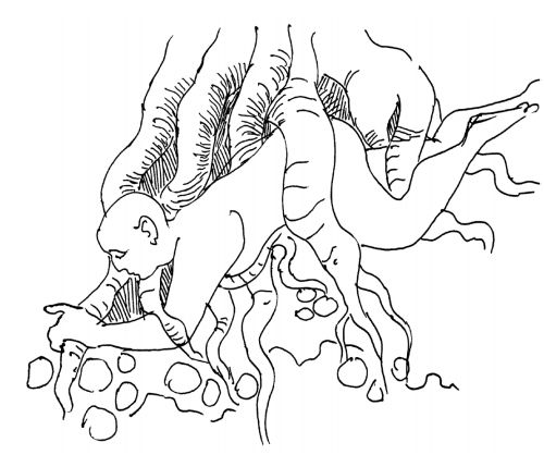 Illustration by Karunakaran Perambra for the poem 'Verukal' penned by Priyavrathan